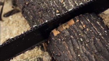 testere ile çalışan adam