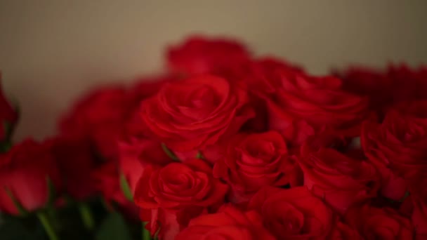 Bouqet di rose rosse — Video Stock