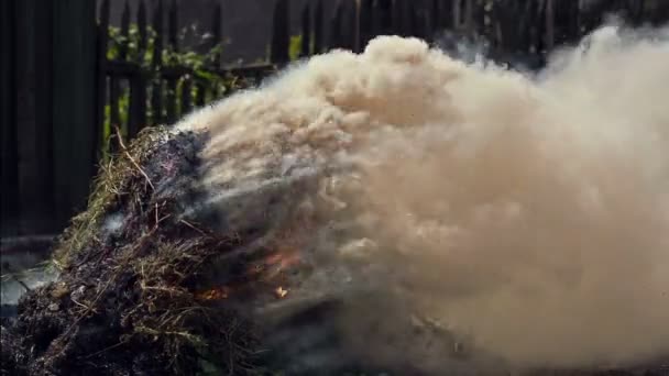 Brûler l'herbe sèche — Video