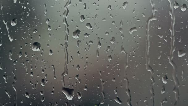 Gouttes de pluie sur la fenêtre — Video