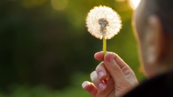 Woman Blowing on a Dandelion — Stock Video