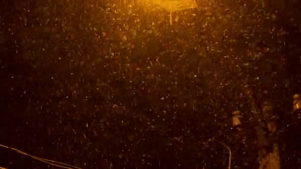 Chute de neige dans les faisceaux de lampadaires la nuit 1 — Video