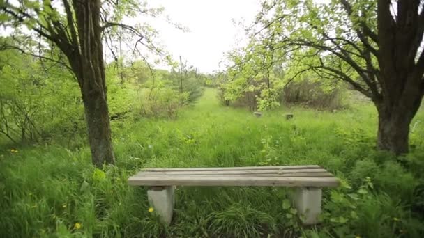 Empty Bench in an Abandoned Park — Stok Video