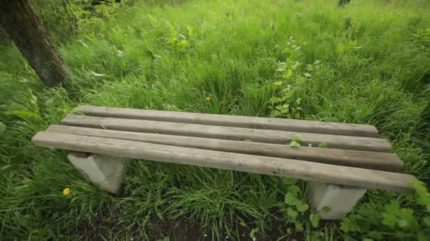 Пустая скамейка в заброшенном парке — стоковое видео