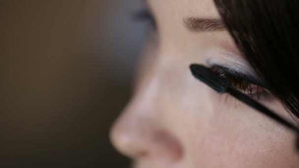 Wimperntusche auftragen, Make-up — Stockvideo