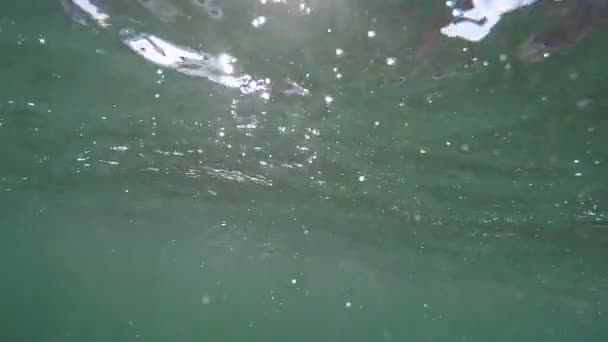 View from underwater — Stock Video