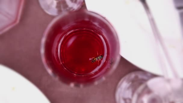 Wasp in een glas — Stockvideo