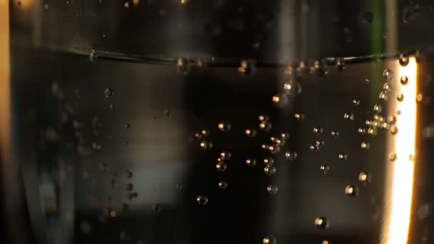 Bulles de champagne dans un verre — Video