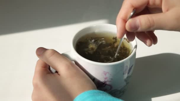 Cucinare il tè verde — Video Stock