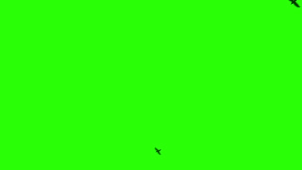 群的乌鸦，色度键 — 图库视频影像
