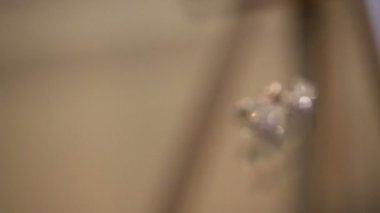 Elmas küpe bir tablo