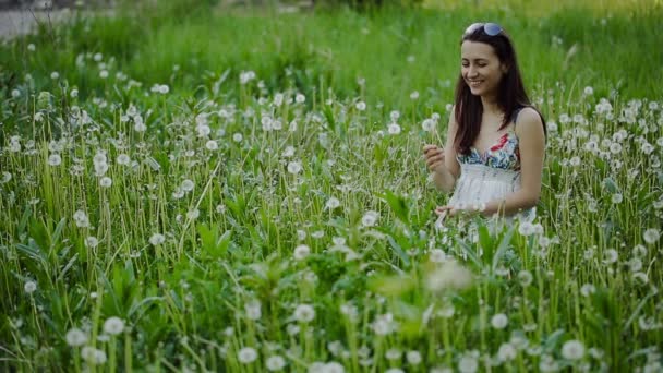 Karahindiba üfleme ve yaz sahada gülüyor genç kadın — Stok video