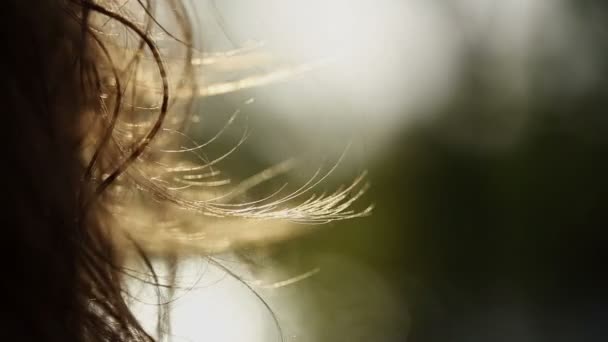 Cabelo encaracolado mulher — Vídeo de Stock