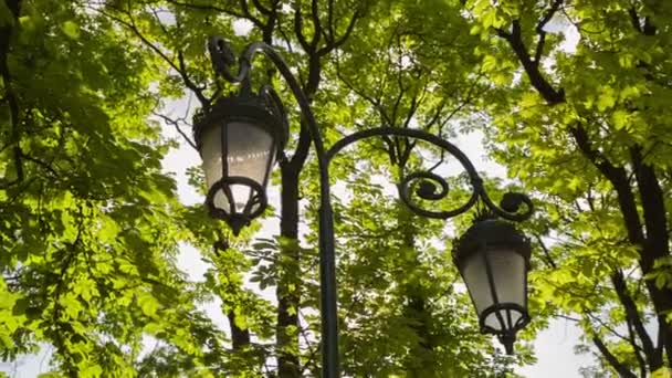 Vintage lantaarns in Park — Stockvideo