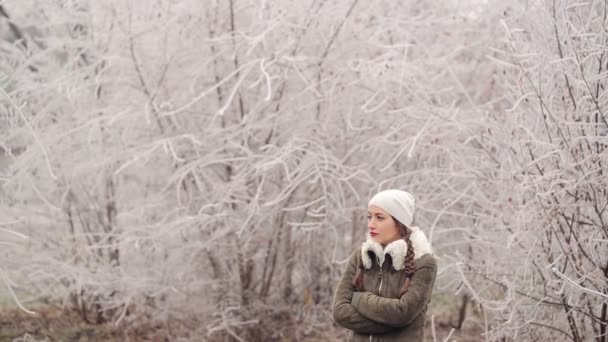 Mulher caminhando em uma natureza de inverno — Vídeo de Stock