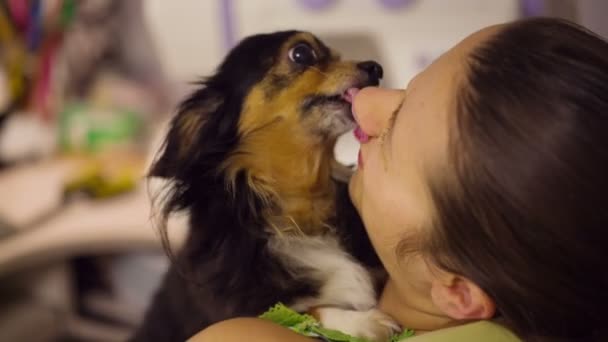 Cão ama seu dono — Vídeo de Stock