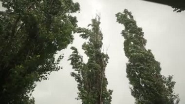 Güçlü yaz fırtınası