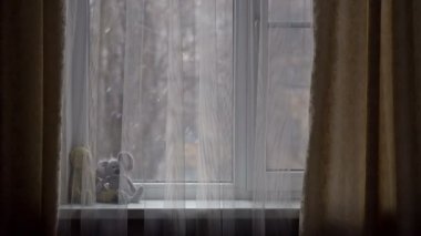 pencere üstünde Toys