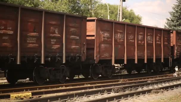 Wagens van een goederentrein — Stockvideo