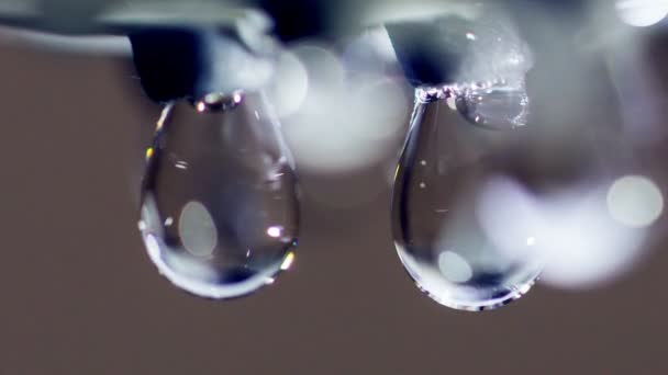 いくつかの水滴マクロ — ストック動画