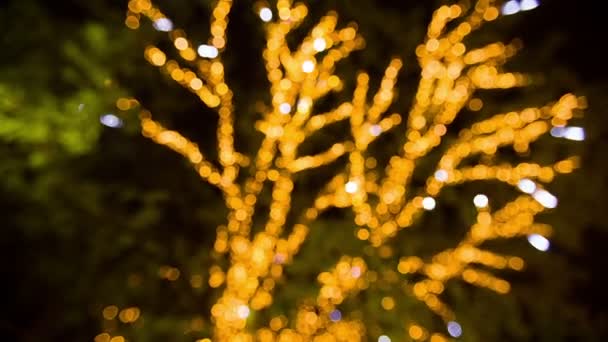 Illumination de Noël sur un arbre — Video