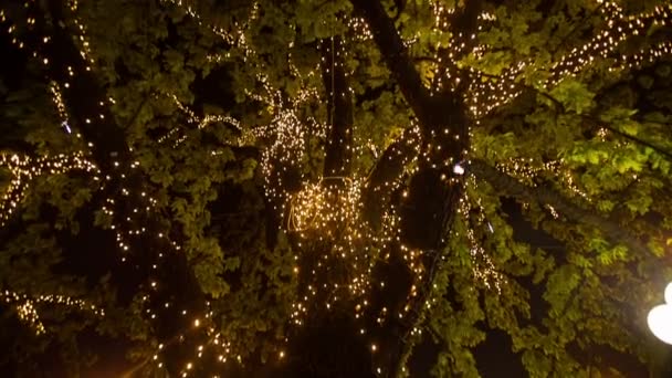 Kleurrijke kerstboom in de stad — Stockvideo