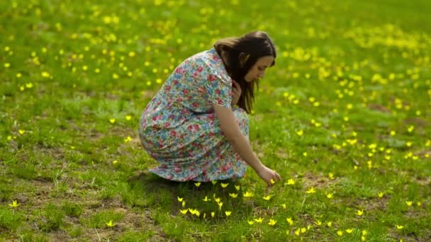 Frau im langen Kleid sammelt Blumen — Stockvideo