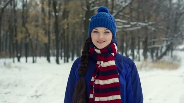 Женщина гуляет в зимнем парке — стоковое видео