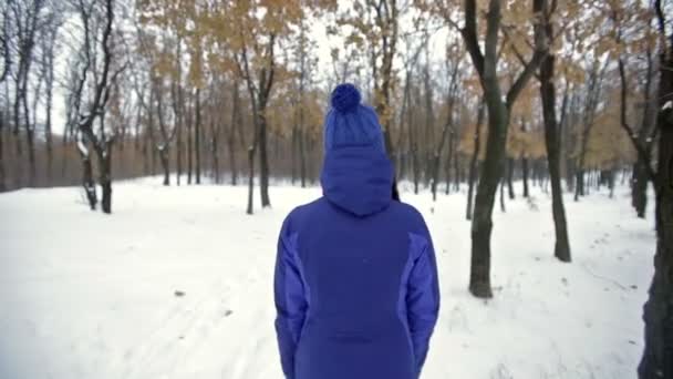 Mujer caminando en el parque de invierno — Vídeos de Stock