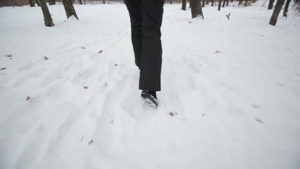 Спортсменка бегает в зимнем парке — стоковое видео