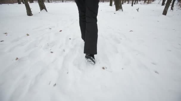 Deportiva Corre en el parque de invierno — Vídeos de Stock