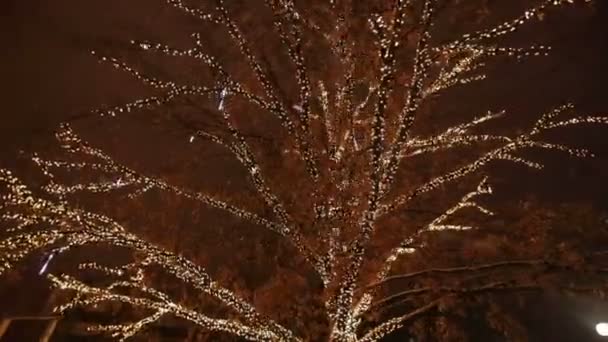 Illuminazione di Natale su un albero — Video Stock