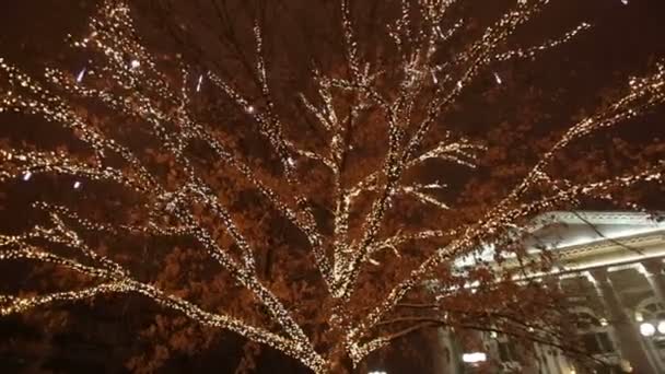 Guirnalda de Navidad en un árbol — Vídeo de stock