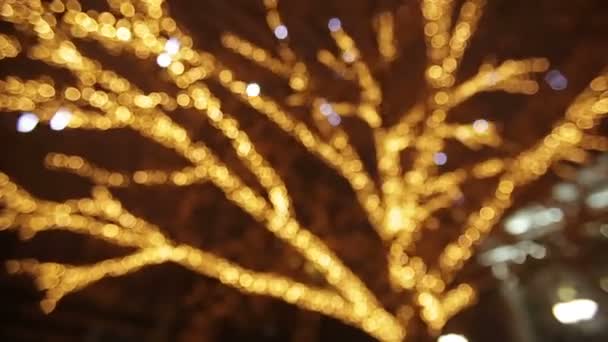 Iluminación brillante en un árbol en la ciudad — Vídeos de Stock