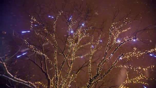 Рождественское освещение на дереве в городе — стоковое видео