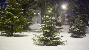 Akşam şehir Sunni Noel ağacı