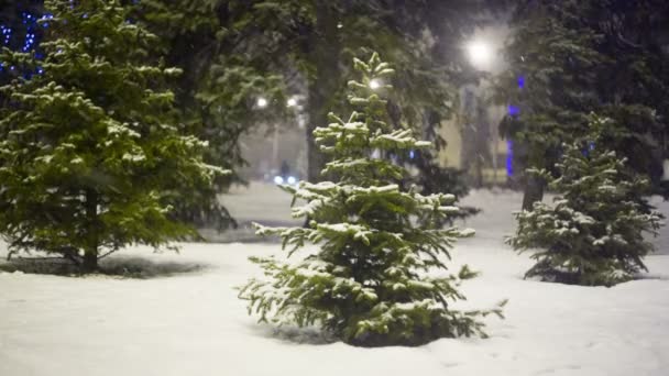 圣诞节树在晚上市 — 图库视频影像