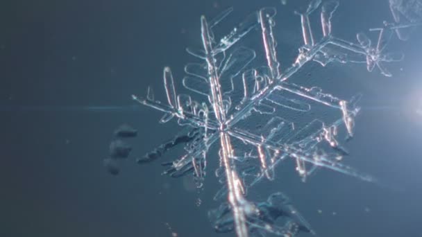 Νιφάδα χιονιού αναντίρρητο και περιστροφές — Αρχείο Βίντεο