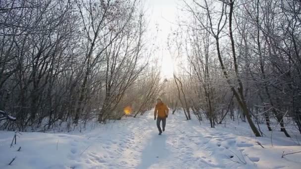 Úspěšný muž v zimní přírodě — Stock video