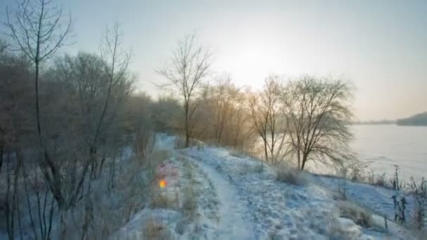 Красиві Snowy вранці — стокове відео