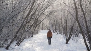 Kış Parkı'nda yürüyen kadın