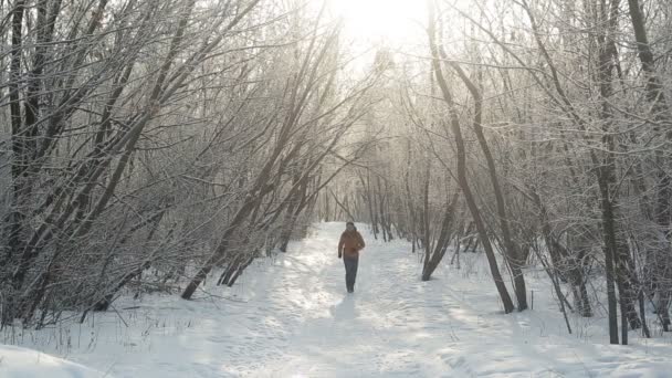 homme courant à l'hiver dans le parc 