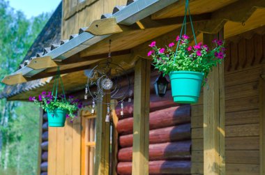 Tencere ve çan çiçeği.