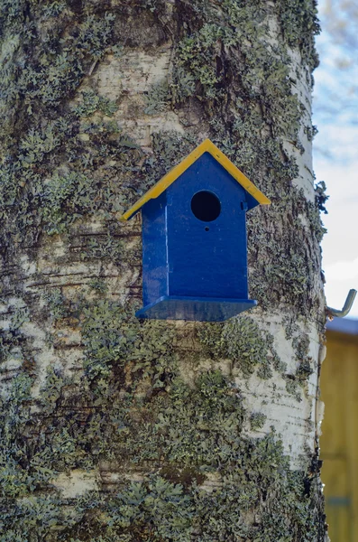 Ursprungliga fågel hus — Stockfoto