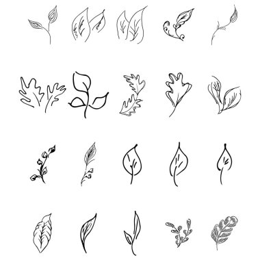 Doodle collection of 20 hand-drawn floral elements. Big collection of 20 hand-drawn leaves. Big floral botanical set isolated on a white background