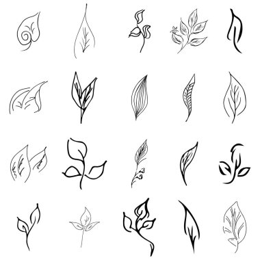 Doodle collection of 20 hand-drawn floral elements. Big collection of 20 hand-drawn leaves. Big floral botanical set isolated on a white background