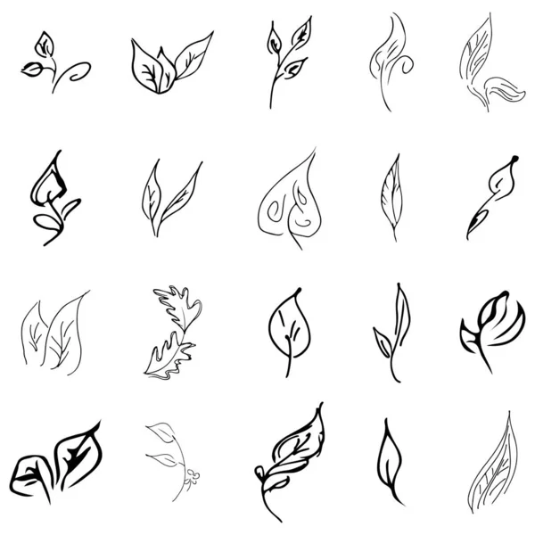 Doodle Collection Hand Drawn Floral Elements Big Collection Hand Drawn — Stock Vector