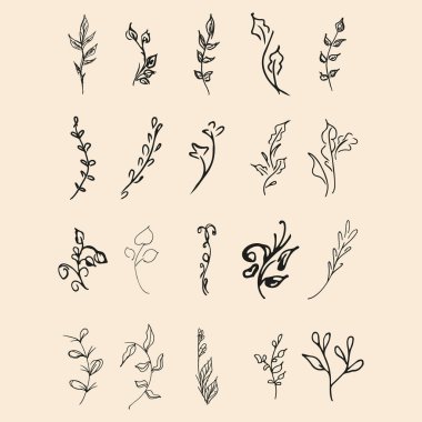 Elle çizilmiş 20 çiçek elementinin karalama koleksiyonu. 20 daldan oluşan büyük bir kolleksiyon. Büyük bir çiçek botanik seti. İzole edilmiş.