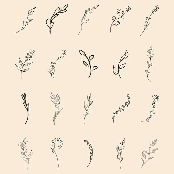 Doodle Simple Colección Elementos Florales Dibujados Mano Gran Colección Ramas — Vector de stock