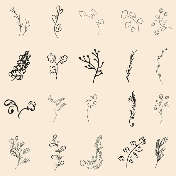 Doodle Απλή Συλλογή Από Χειροποίητα Floral Στοιχεία Μεγάλη Συλλογή Από — Διανυσματικό Αρχείο
